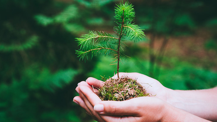 Environmental, Social and Governance 